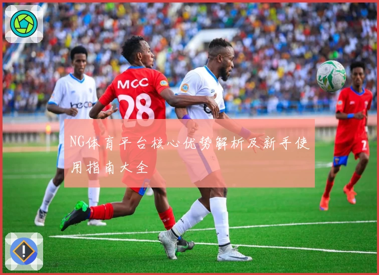 NG体育平台核心优势解析及新手使用指南大全