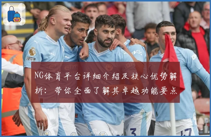 NG体育平台详细介绍及核心优势解析：带你全面了解其卓越功能要点